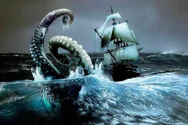 Kraken рабочий